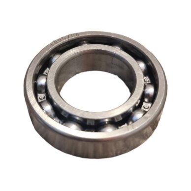 Guolis 6005 1 Guolis 6005 1