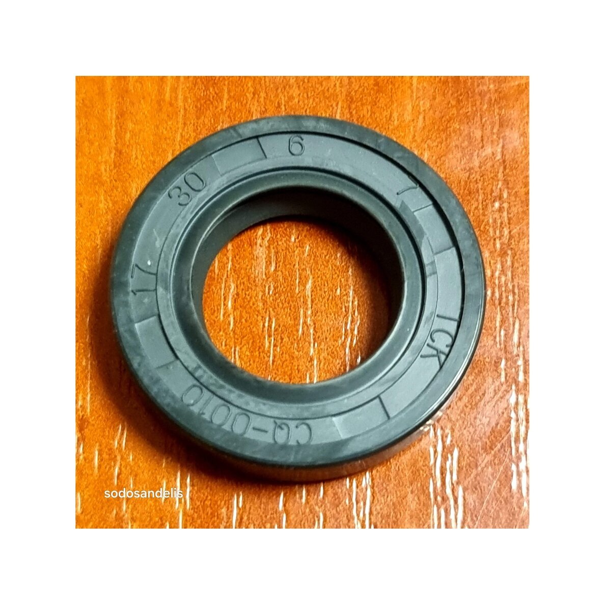 Oil seal SW800 17x30x6 3