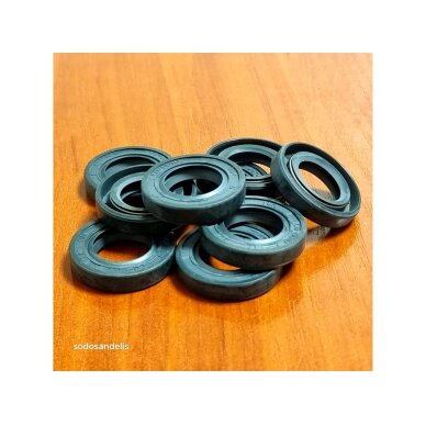 Oil seal SW800 17x30x6