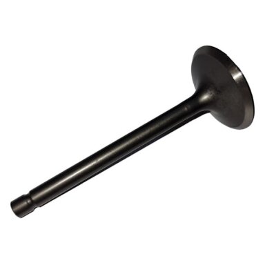 WEIMA WM192F (E)/P(-2) įsiurbimo vožtuvas