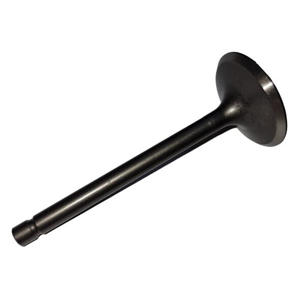 WEIMA WM192F (E)/P(-2) įsiurbimo vožtuvas